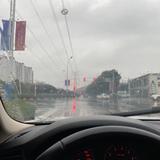 蒜泥味的花蚬头像