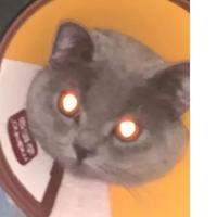 用户4178473490267头像