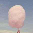 ple的个人资料头像