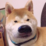 砖厂厂工的个人资料头像