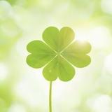 爆炸柠檬茶么头像