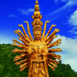 悠优种菜头像