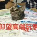 Landsc的个人资料头像