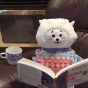 1_哦哦的个人资料头像