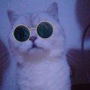 plaknight的个人资料头像