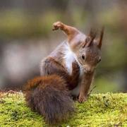 JS768的个人资料头像