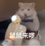 猫咪三的故事的个人资料头像