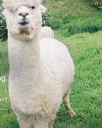 稀土小新人的个人资料头像