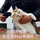隔壁老李不想说话的个人资料头像