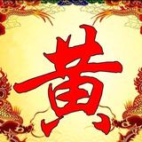 金诚商业策划列哥仔头像