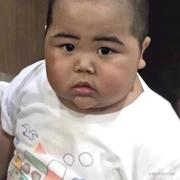 大大怪草莓的个人资料头像