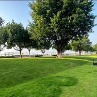 帝豪杨先生头像