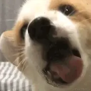 runrm的个人资料头像