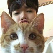 大桃子275的个人资料头像