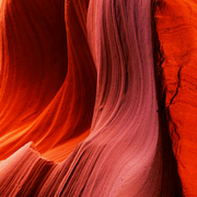 朽木ben蛋的个人资料头像