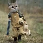 an431的个人资料头像