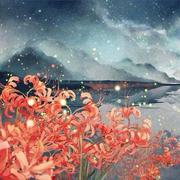 白夜孤星的个人资料头像