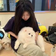 yxy421的个人资料头像