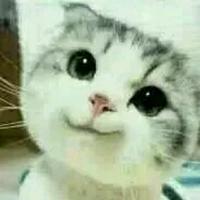 用户6473746585991头像