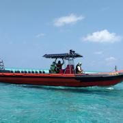 逍遥游466的个人资料头像