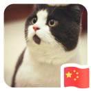 浩楠同志的个人资料头像