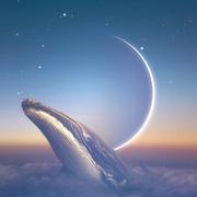 zhuimeng的个人资料头像