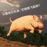 驾驭生活的强者头像