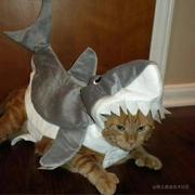 李岁今天吃什么的个人资料头像