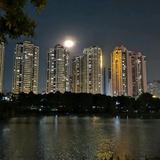 一丝不苟奶酪gyL头像