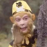 事缓则圆I头像