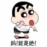 壮壮头像