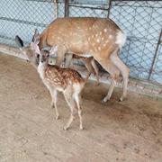 九月丶的个人资料头像