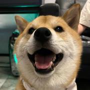 joe939的个人资料头像