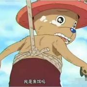 碎事破事的个人资料头像