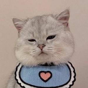 屠龙霸霸头像