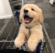 HYT的个人资料头像