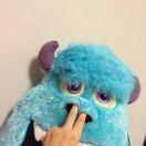 菜菜子i的个人资料头像