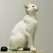 AOMG的个人资料头像