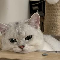 用户6670956476585头像