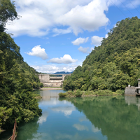 用户8555848652972头像