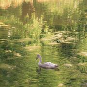 懒得起名字了的个人资料头像