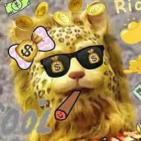 啊坤2586头像
