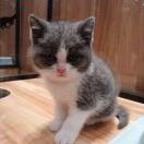 努力奋斗中的小颜的个人资料头像