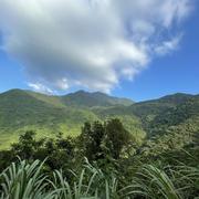 喜爱山海的个人资料头像