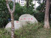 奇技清单的个人资料头像