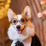 小啸啸天头像