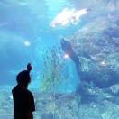 自在如风酱的个人资料头像