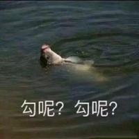 第四重影头像