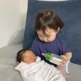 南书375头像