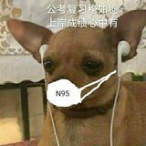 瓶盖497头像